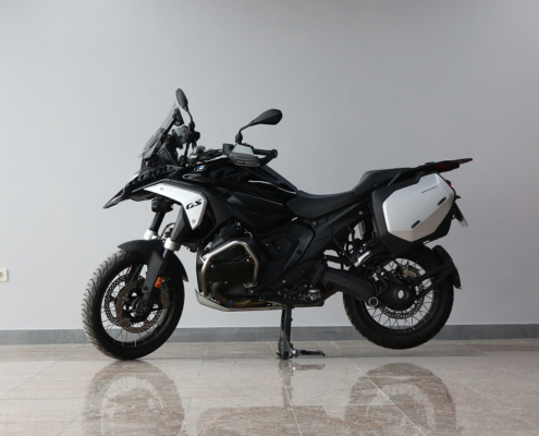 R 1300 GS-9