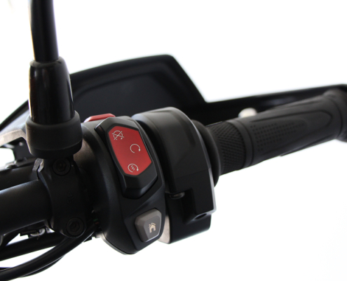 TRIUMPH900RALLYPRO-4