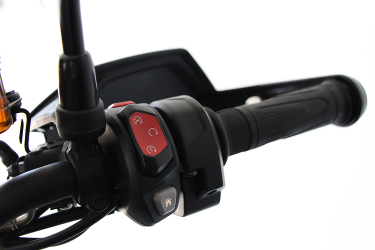 TRIUMPH900RALLYPRO-4