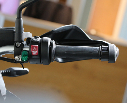 BMWF800GS-4
