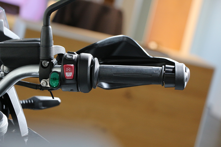 BMWF800GS-4
