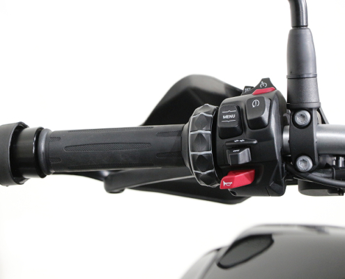BMWF800GS-5