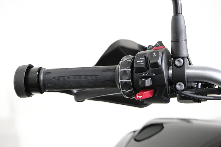 BMWF800GS-5