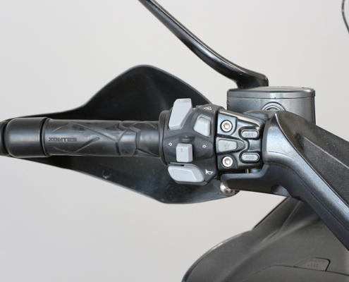 ZONTES350E-3