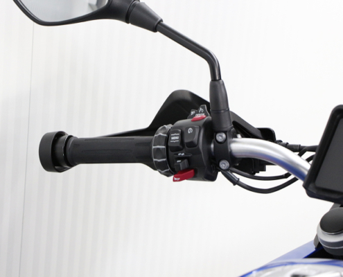 BMWF800GS-4