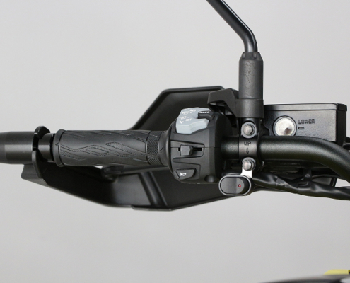 SUZUKIVSTROM1050-5