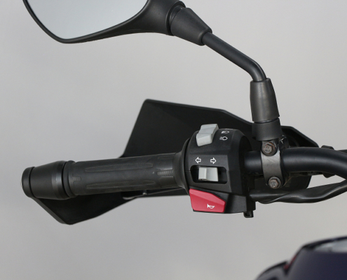 BMWG310GS-4