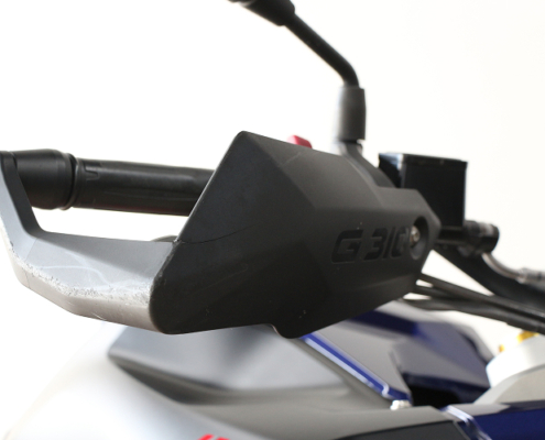 BMWG310GS